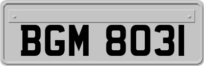 BGM8031