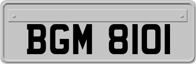BGM8101