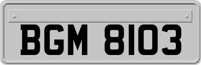 BGM8103
