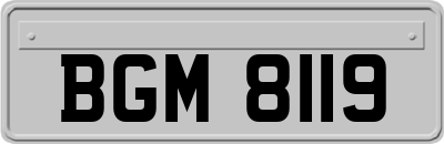 BGM8119