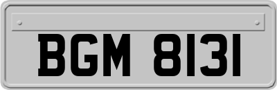 BGM8131