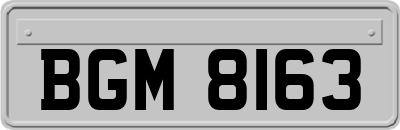 BGM8163