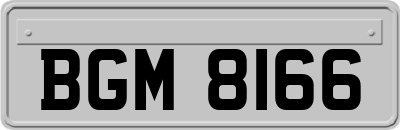 BGM8166