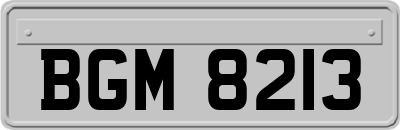 BGM8213