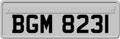BGM8231