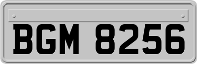 BGM8256