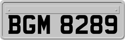 BGM8289
