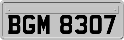 BGM8307