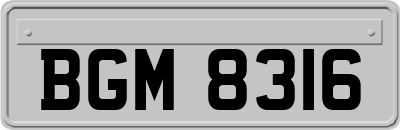 BGM8316