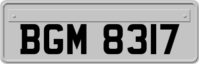 BGM8317