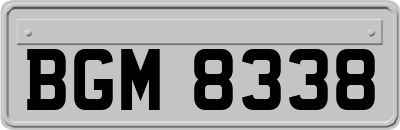 BGM8338