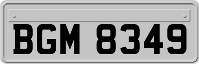 BGM8349