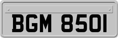 BGM8501