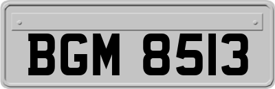 BGM8513