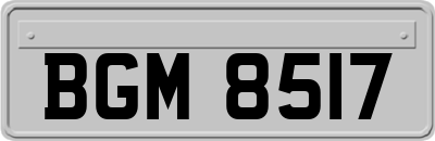 BGM8517