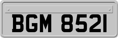 BGM8521