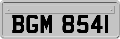 BGM8541