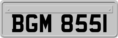 BGM8551