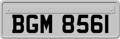 BGM8561