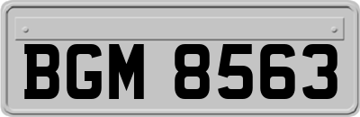BGM8563