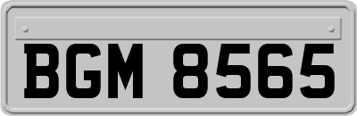BGM8565