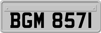 BGM8571
