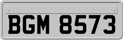 BGM8573