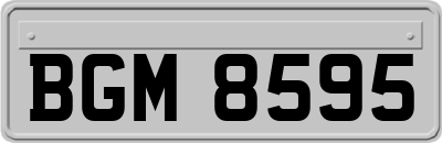 BGM8595