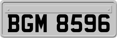 BGM8596
