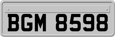 BGM8598