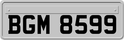 BGM8599