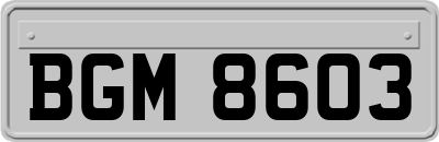 BGM8603