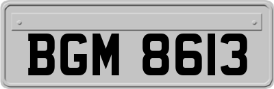 BGM8613
