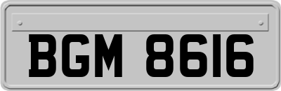 BGM8616