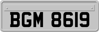 BGM8619