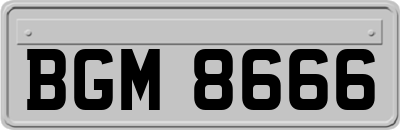 BGM8666