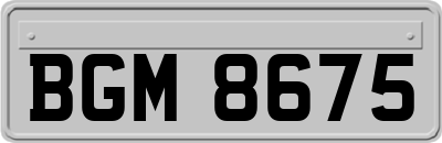 BGM8675