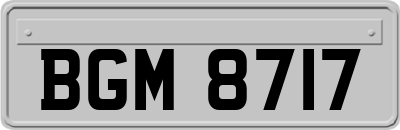 BGM8717