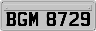 BGM8729