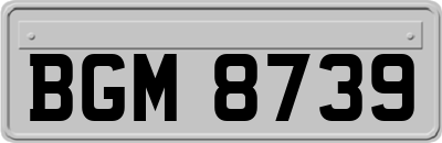 BGM8739