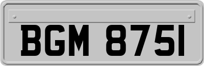 BGM8751