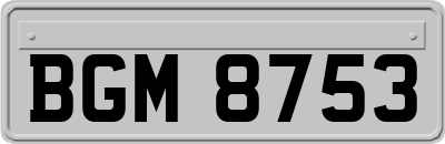BGM8753