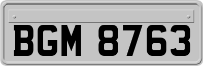 BGM8763
