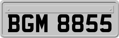BGM8855