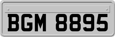 BGM8895