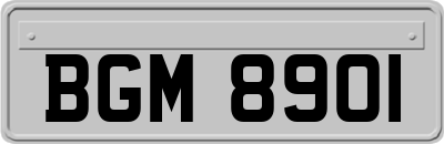 BGM8901