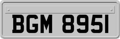 BGM8951