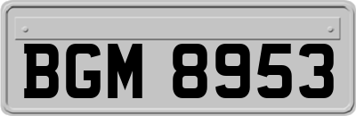 BGM8953