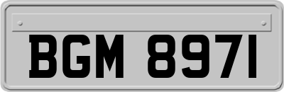 BGM8971