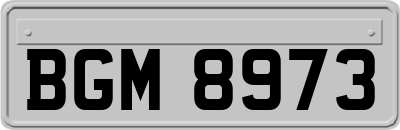 BGM8973